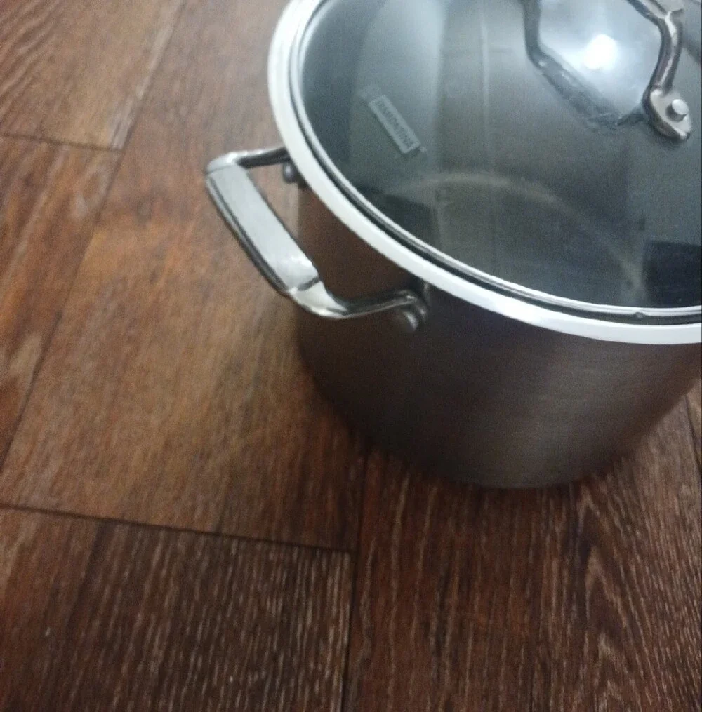 Tramontina Stainless Steel Stock Pot with Glass Lid - Silver
